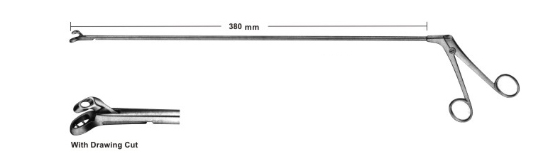Biopsy forceps for rectum
